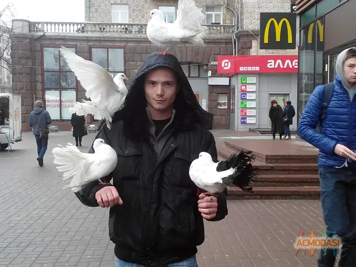 Богдан  Полежайко фото №1754326. Завантажено 26 Березня 2026