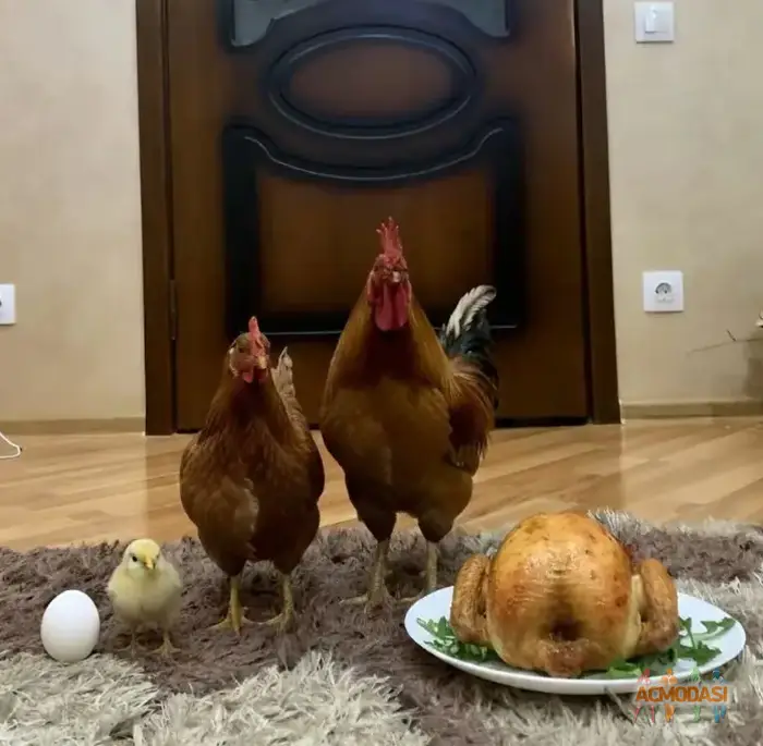 Віктор  Кіріленко фото №1754860. Завантажено 21 Квітня 2026