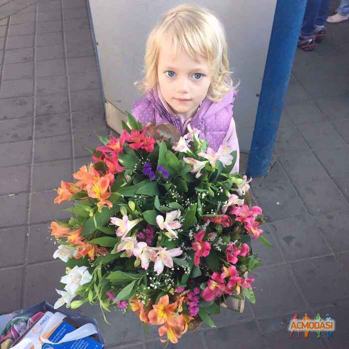 Елизаветта  Дмитриевна фото №814290. Завантажено 14 Липня 2015