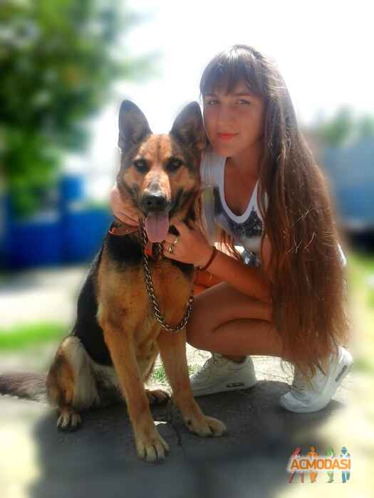 Карина  Шевченко фото №1022282. Завантажено 19 Лютого 2017