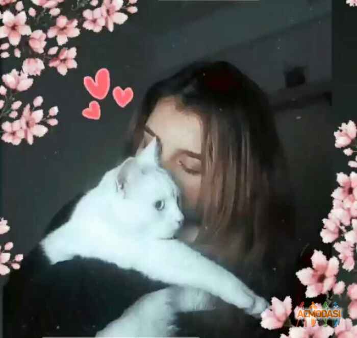 Мария Эдуардовна Агапова фото №1518478. Завантажено 12 Березня 2020