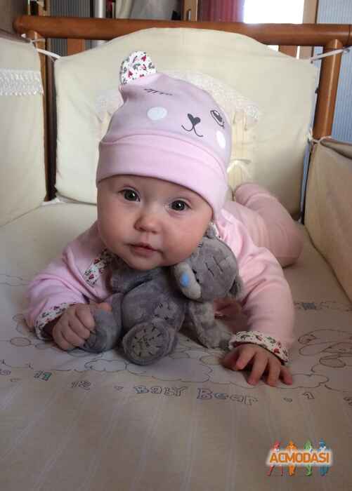 Сонік(Софія)  Павленко фото №1396167. Завантажено 04 Травня 2019