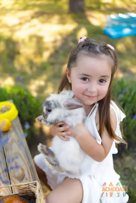 Емілія Едуардівна Чуб фото №1751576. Завантажено 12 Січня 2026