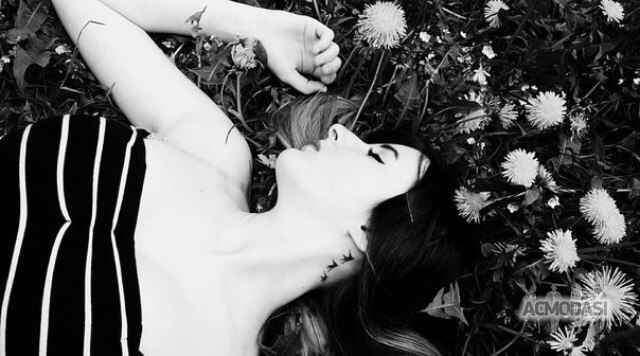 Ілона Василівна Якібчук фото №1053748. Завантажено 14 Травня 2017