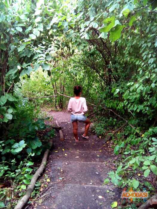 Валерія Ігорівна Решовська фото №1472171. Завантажено 08 Листопада 2019