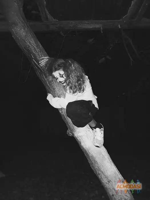 Дарʼя  Шарапова фото №1749353. Завантажено 08 Листопада 2025