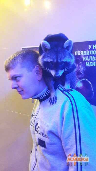 Владимир Павлович Макаров фото №1229098. Завантажено 09 Травня 2018