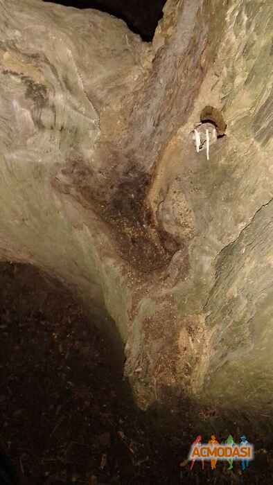 апиыапи  ыамиыаип фото №1542617. Завантажено 26 Червня 2020