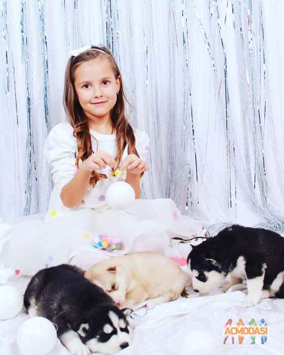 Маргарита Станиславовна Кузьменко фото №998220. Завантажено 16 Грудня 2016