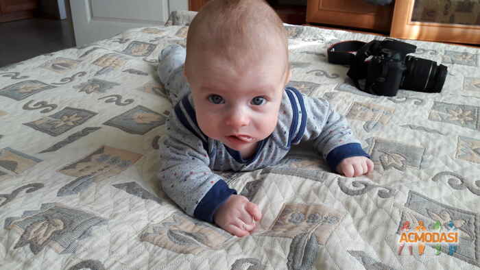 Михаил Алексеевич Винник фото №970030. Завантажено 12 Жовтня 2016