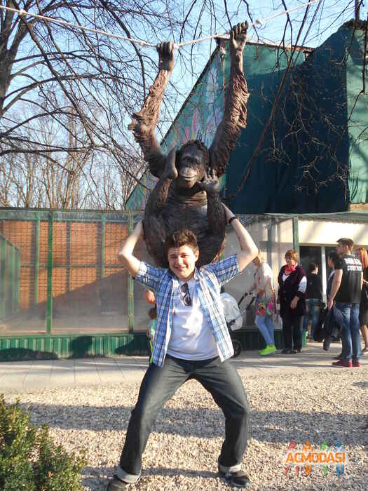 Сергій Сергійович Селюх фото №1112213. Завантажено 04 Жовтня 2017