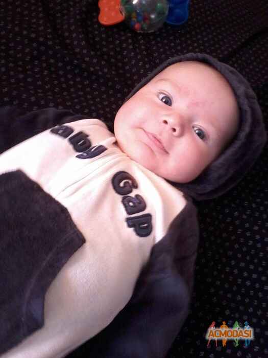 Ельвира Николаевна Стальницкая фото №1053483. Завантажено 13 Травня 2017