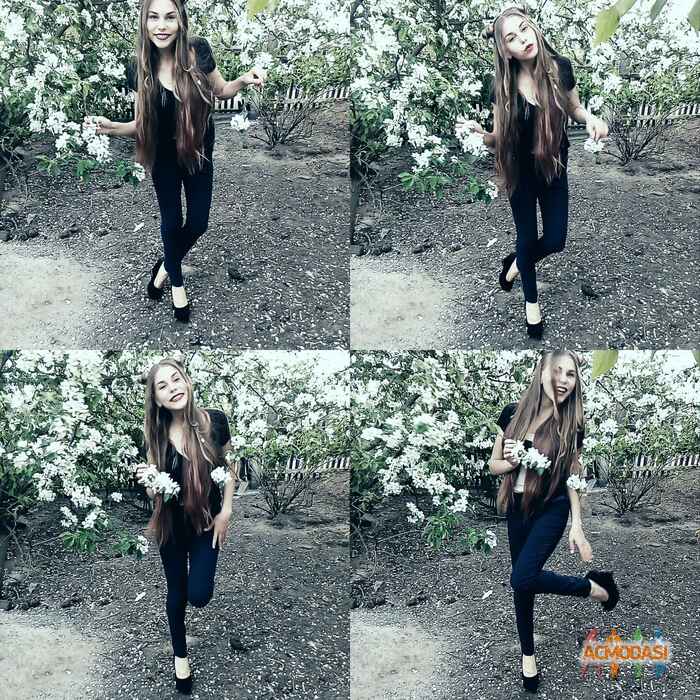 Альбіна   фото №1072889. Завантажено 30 Червня 2017