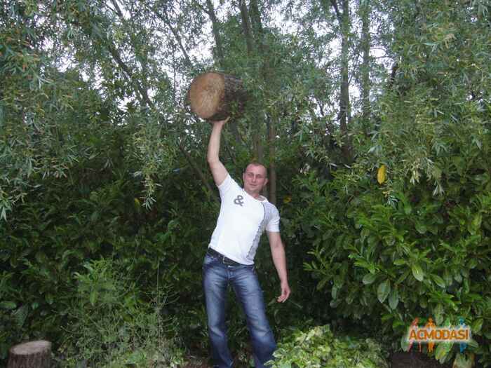 Александр Васильевич Шамралюк фото №89534. Завантажено 19 Жовтня 2011