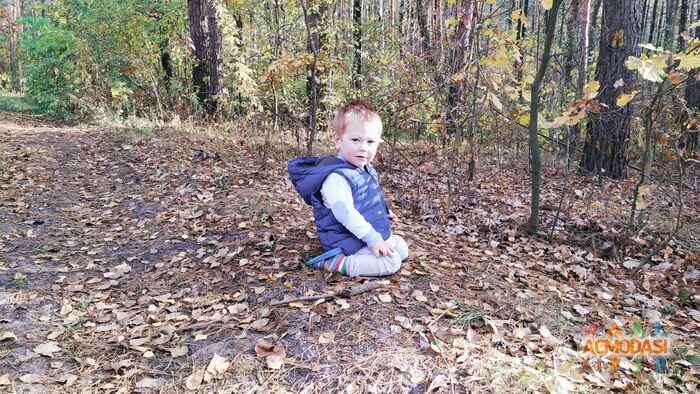 Инна Володимирівна Климчук фото №1483861. Завантажено 04 Грудня 2019