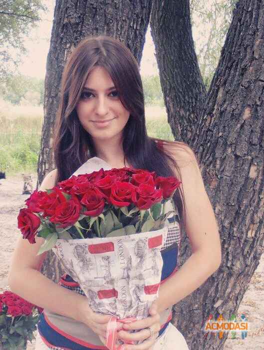 Літовка Лілія Васілівна фото №1143693. Завантажено 27 Листопада 2017