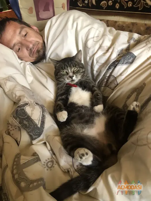 Public  Enemy фото №1745036. Завантажено 13 Липня 2025