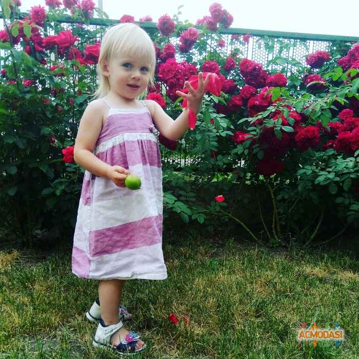 Алла  Нападовская фото №1243794. Завантажено 12 Червня 2018
