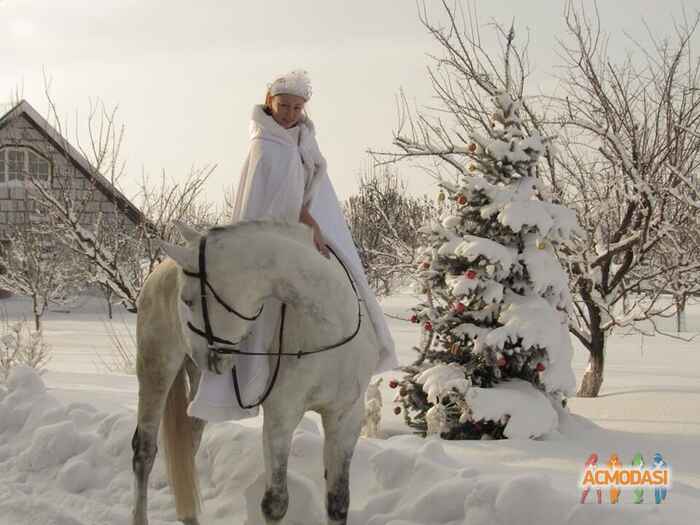 Ольга  Суховая фото №1398601. Завантажено 09 Травня 2019