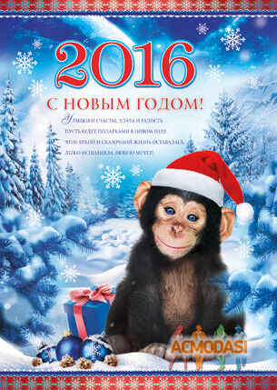 max   фото №1476808. Завантажено 17 Листопада 2019