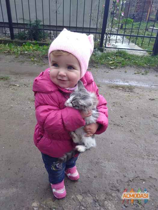 Ksenia   фото №1140821. Завантажено 21 Листопада 2017