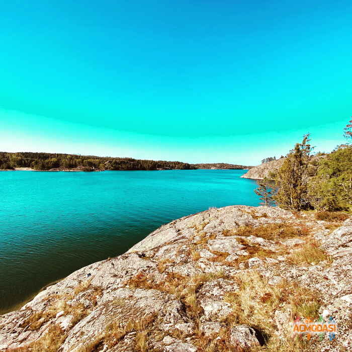 Тетяна   фото №1534759. Завантажено 01 Червня 2020