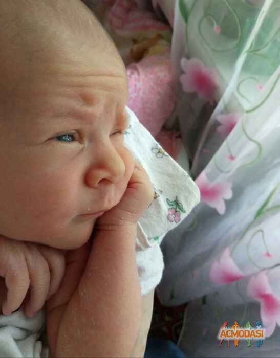 Шевченко  Елена фото №1067308. Завантажено 16 Червня 2017