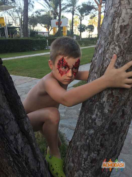 Дамир Андреевич Шинаев фото №1135752. Завантажено 13 Листопада 2017