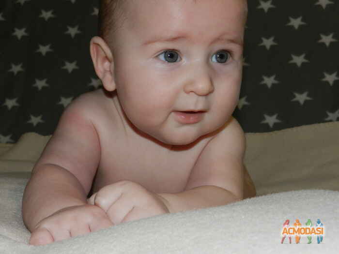 влад климентийович коломиец фото №1166643. Завантажено 17 Січня 2018