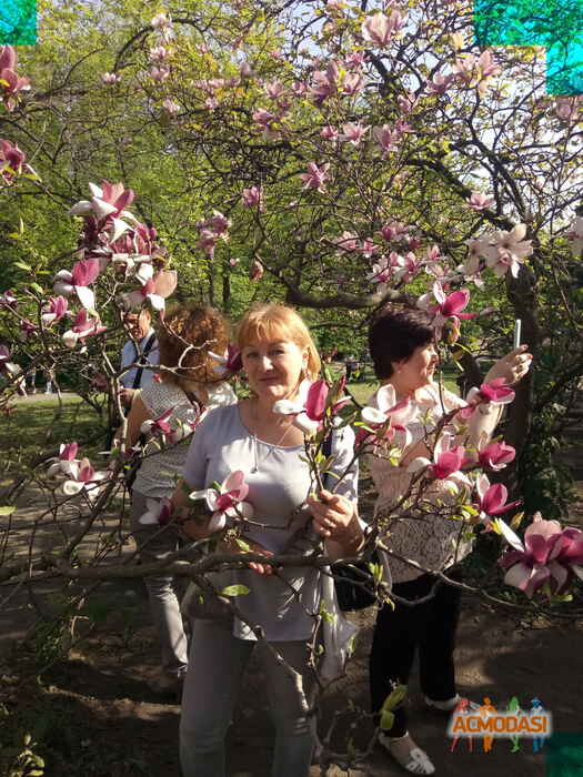 Наталия  Песоцкая фото №1327305. Завантажено 23 Листопада 2018