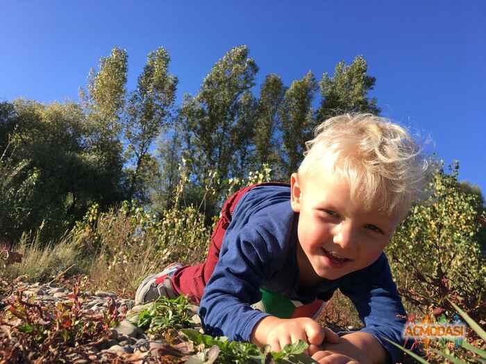 Захарій Ігорович Латанишин фото №1481868. Завантажено 29 Листопада 2019