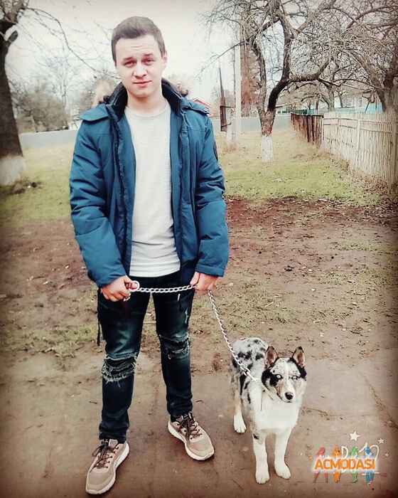 міша михайлович малик фото №1163310. Завантажено 11 Січня 2018