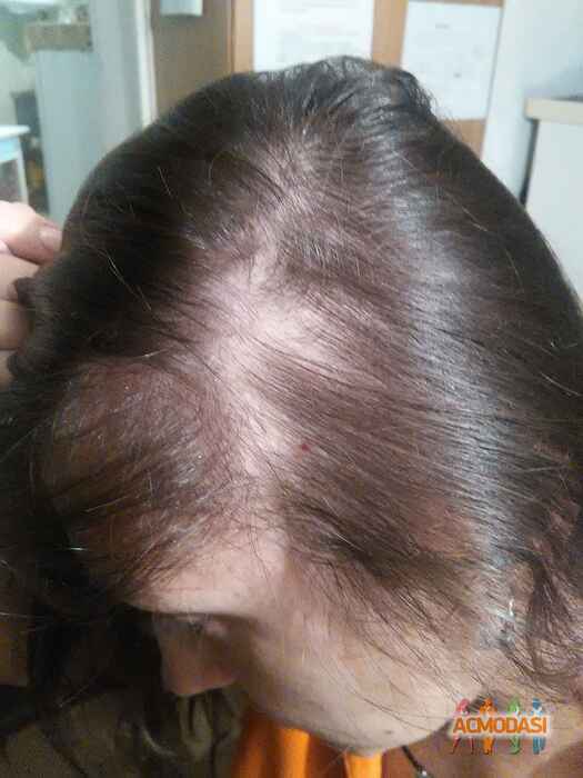 Светлана Анатольевна Метелюк фото №1067620. Завантажено 17 Червня 2017