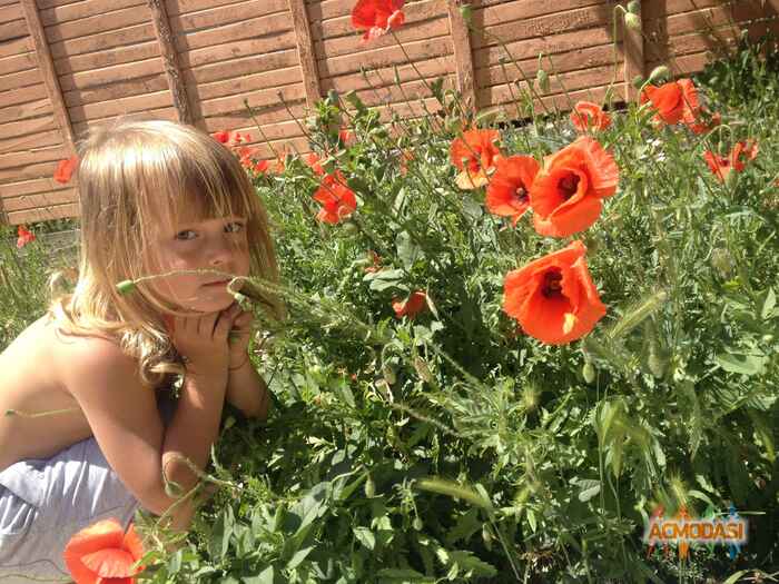 Родион Алексеевич Лапин фото №1106569. Завантажено 19 Вересня 2017