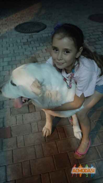 Ирина Викторовна Кайдаш фото №985818. Завантажено 16 Листопада 2016