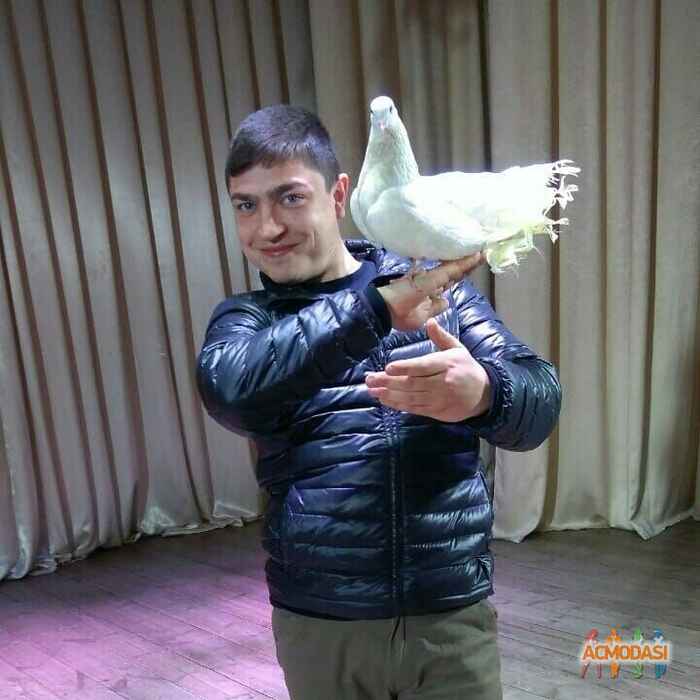 Володимир Олександрович Загляда фото №1392446. Завантажено 23 Квітня 2019