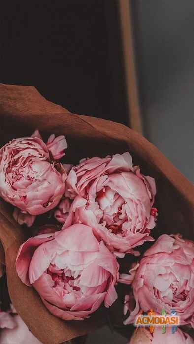 ❤️ ❤️ ❤️ фото №1529673. Завантажено 14 Травня 2020