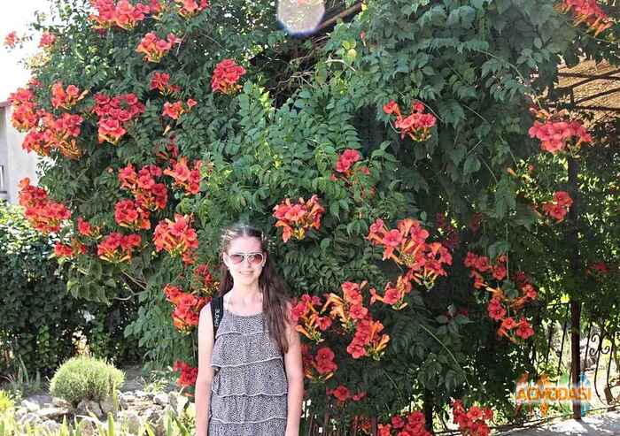 Лиза Александровна Дасюк фото №1033357. Завантажено 18 Березня 2017