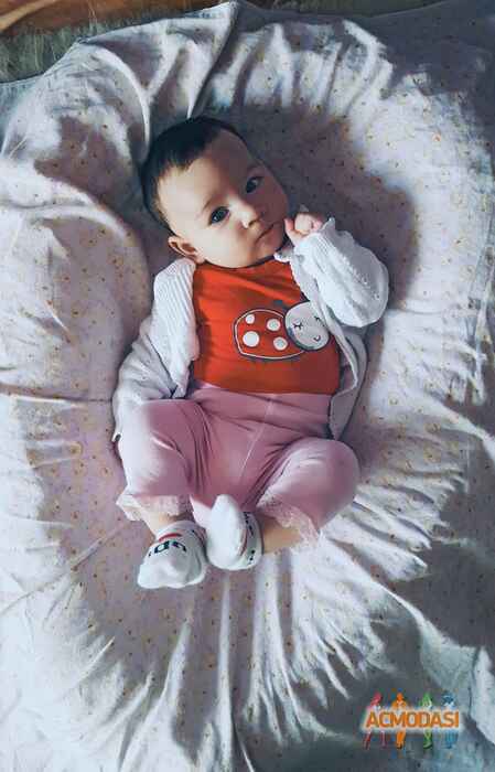 Айсель Асифовна Керимова фото №1011128. Завантажено 24 Січня 2017