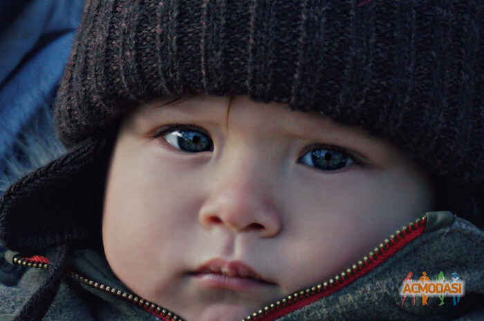 Анатолий Иванович Димитров фото №984648. Завантажено 14 Листопада 2016