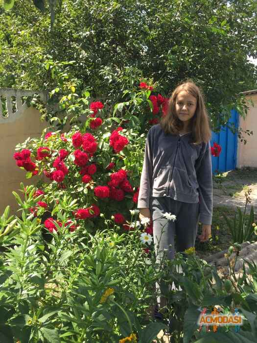Ира Олеговна Зайцева фото №1071838. Завантажено 27 Червня 2017