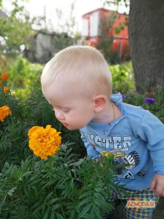 Вадим  Гойванович фото №1156875. Завантажено 25 Грудня 2017