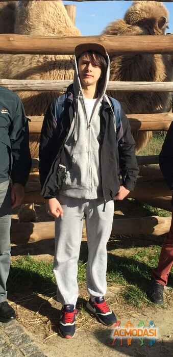 Дмитро Романович Цибрик фото №1129149. Завантажено 03 Листопада 2017