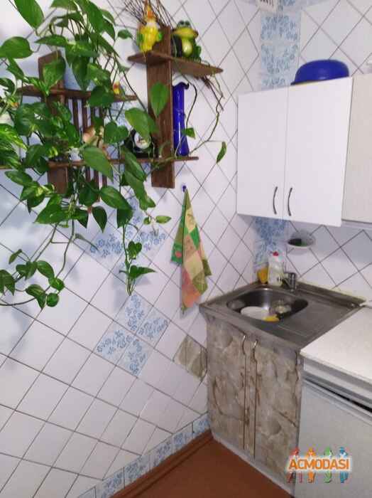 Ірина Володимирівна Штань фото №1142505. Завантажено 24 Листопада 2017