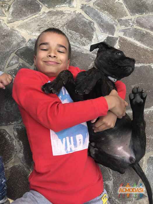 Тимур Максимович Макеев фото №1097767. Завантажено 30 Серпня 2017