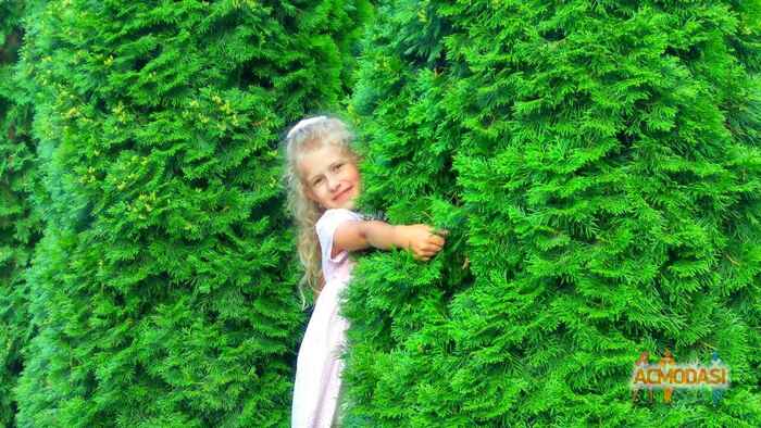 Оксана   фото №1107295. Завантажено 21 Вересня 2017