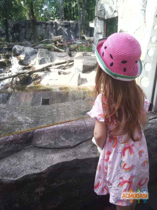 Olia  Shynkarchuk фото №1410575. Завантажено 13 Червня 2019