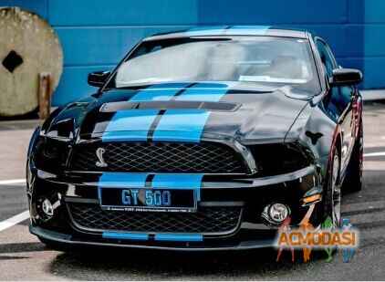 Гоша  Мальчук фото №1525159. Завантажено 26 Квітня 2020