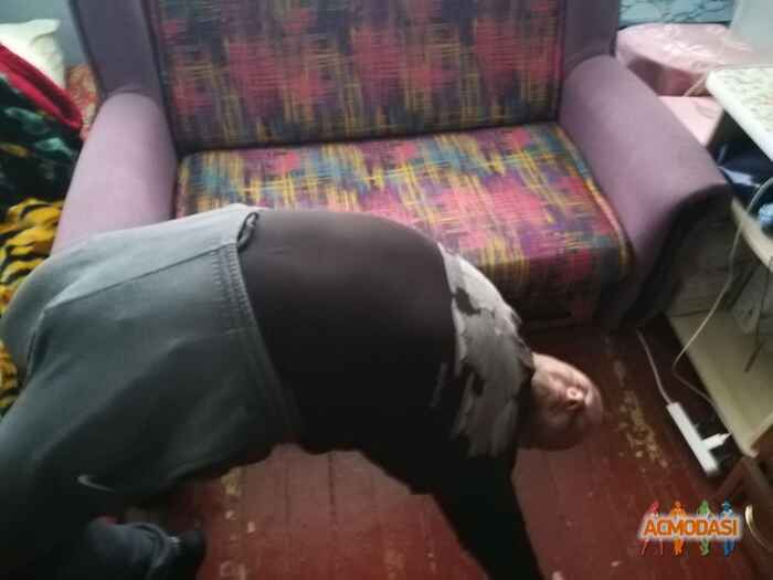 Марьян Сорокопуд Геннадійович фото №1169579. Завантажено 21 Січня 2018