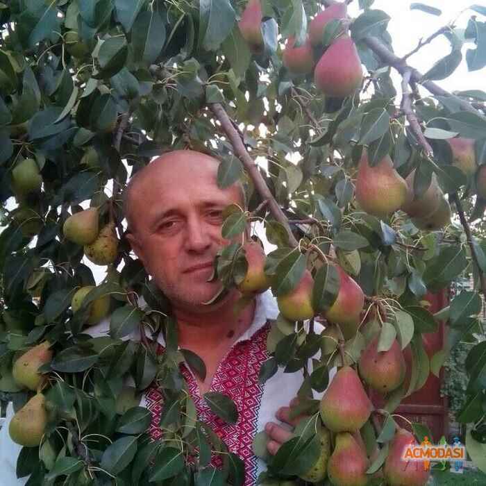 Александр  Карнаух фото №1042884. Завантажено 13 Квітня 2017